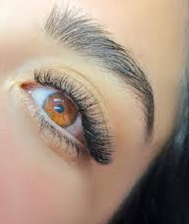 Lashes & Brows